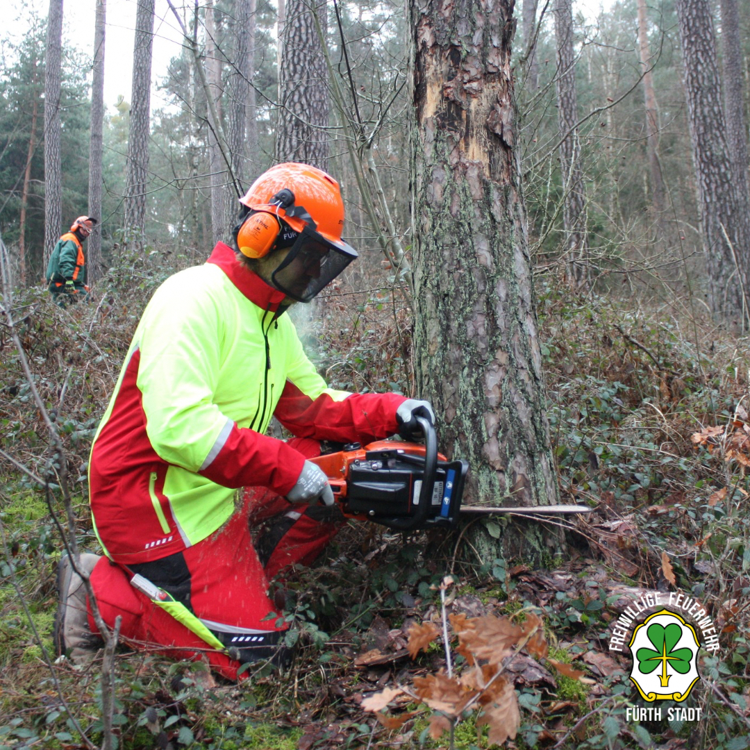 2026 01 17 Kettensaegen Workshop 03